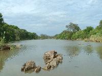 Река Лимпопо утром. Вид с плотины